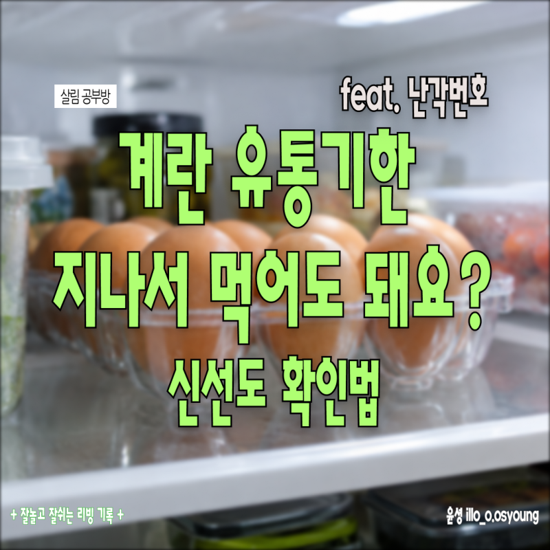 계란 유통기한 지나면 진짜 못 먹을까? 계란 보관법과 신선도 확인법,난각번호 읽는 법까지
