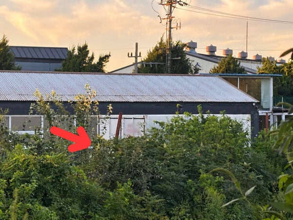 파주 카페 냉동창고 시신 발견 11시간 전, 경찰이 사장과 통화까지 했다는데…결국 거짓말이....