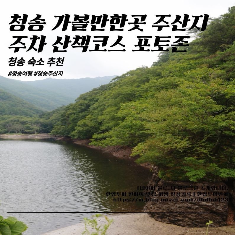 청송 가볼만한곳 주산지 주차 산책코스 포토존 청송 숙소 추천