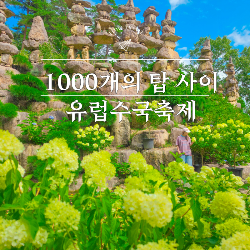 "꽃밭인 줄 알았는데 1000개의 돌탑" 합천 가볼만한곳 천불천탑 경남 수국 명소