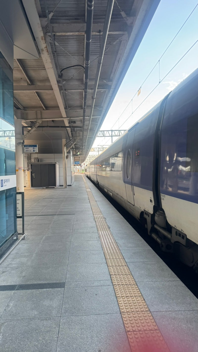 KTX 자유석 타는 방법