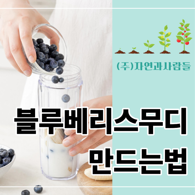 블루베리스무디 만드는법, 냉동 과일로 5분 만에 완성할 수 있을까?