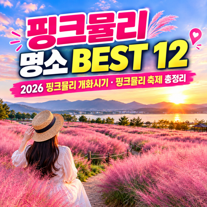 핑크뮬리 명소 BEST 12 | 2026 핑크뮬리 개화시기·핑크뮬리 축제 총정리