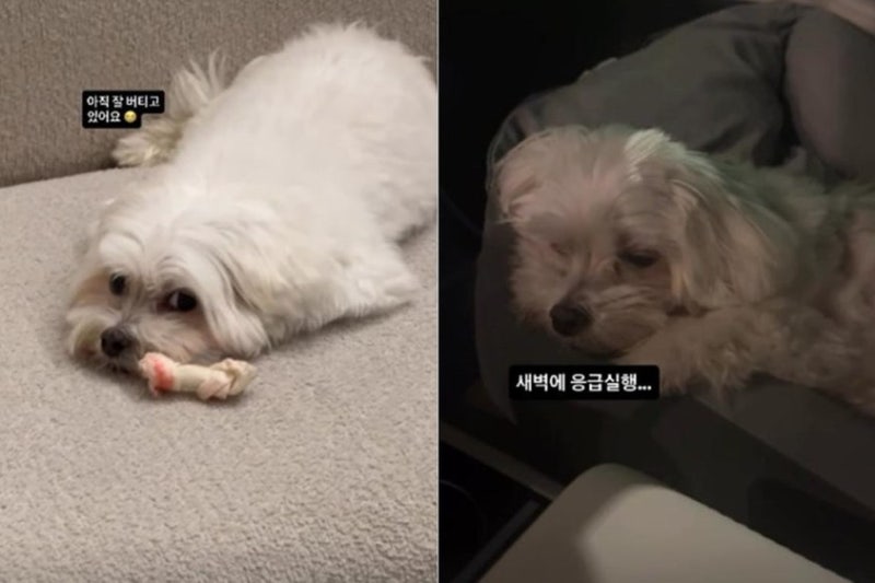 박성광 부부의 새벽 응급실行, 이솔이의 '인생 난이도' 한마디가 던지는 질문