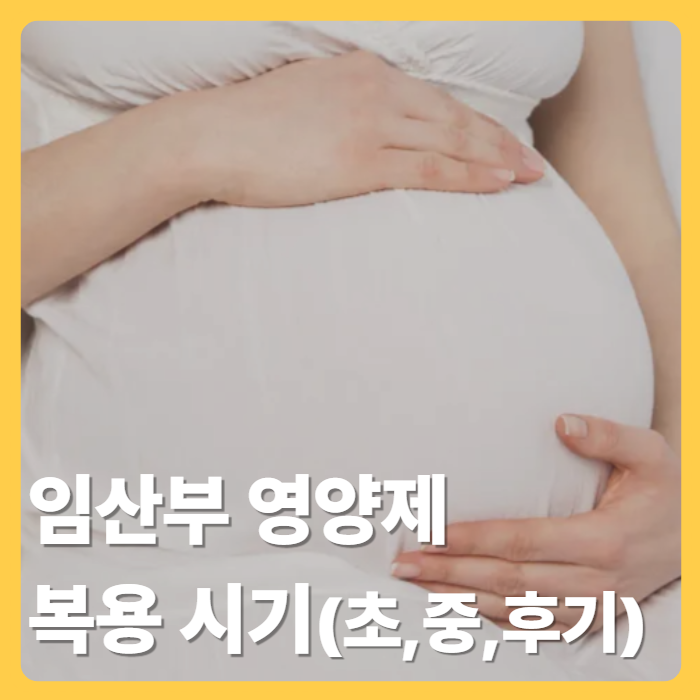 임산부 영양제 복용 시기: 임신 초기, 중기, 후기 권장량까지(엽산, 철분, 비타민D, 오메가3)
