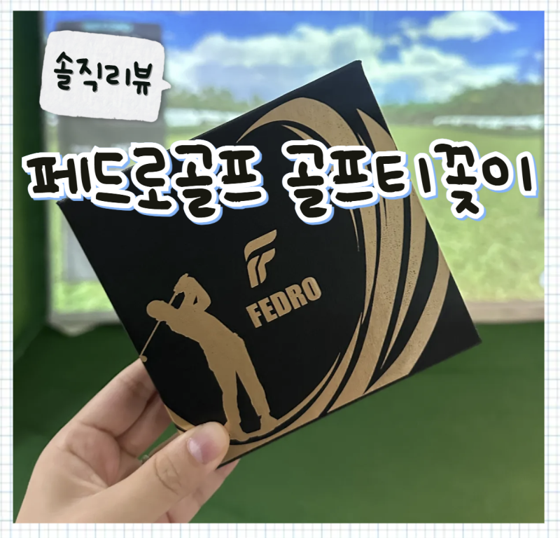 [솔직리뷰] 스크린골프 골프티 추천템, 각도와 높이 조절이 가능한 '페드로골프티 특허 티꽂....