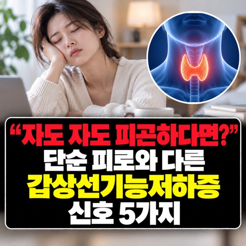 “자도 자도 피곤하다면?” 단순 피로와 다른 갑상선기능저하증 신호 5가지