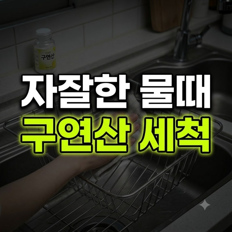 주방 스텐 식기건조대 자잘한 물때, 구연산수로 깔끔하게 닦아낸 루틴