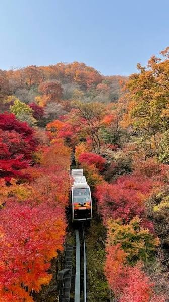 [주말 국내 여행지 추천] 수도권 힐링 명소 광주 화담숲 예약 꿀팁, 모노레일 요금, 주차 및 ....