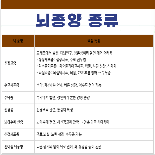 뇌종양 종류 신경교종 수모세포종 수막종 신경종 뇌하수체선종 신경세포종 전이성뇌종양