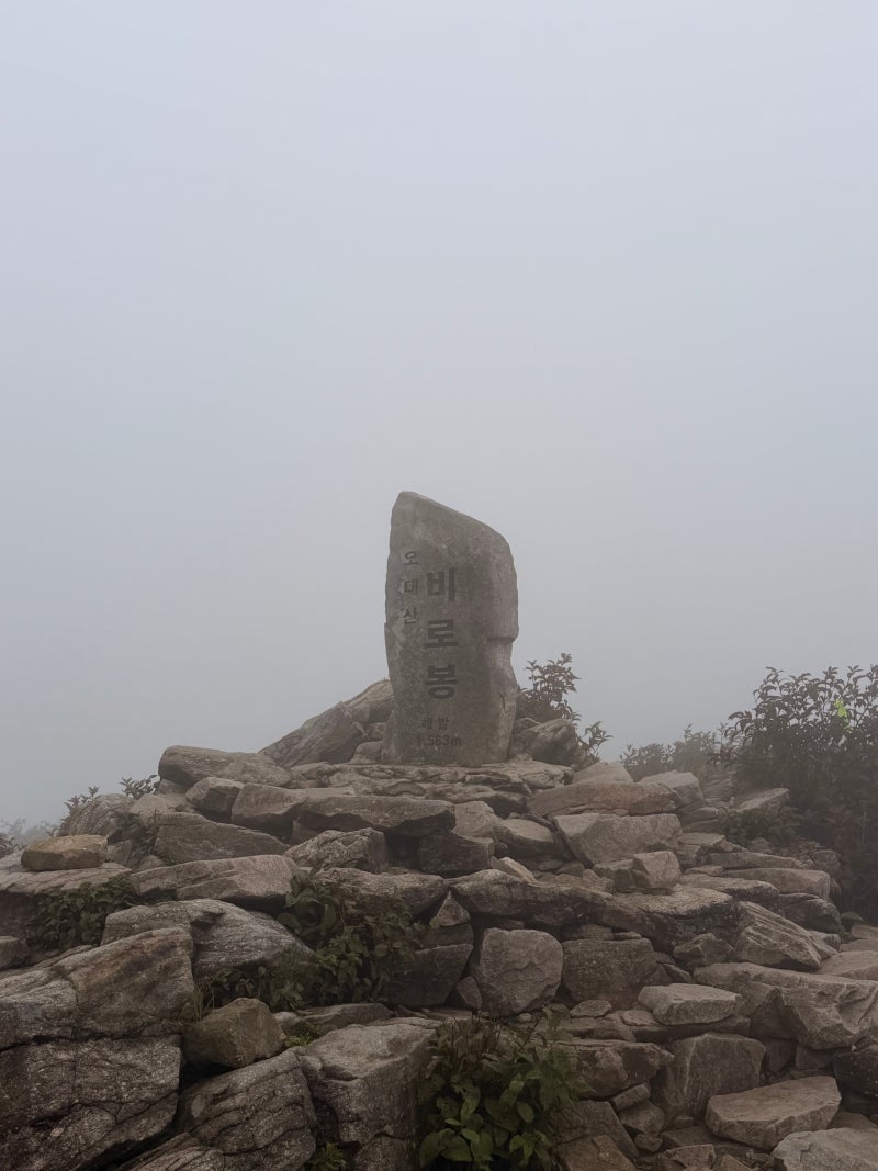 [오대산 비로봉] 상원탐방지원센터-비로봉- 원점회귀 등반코스
