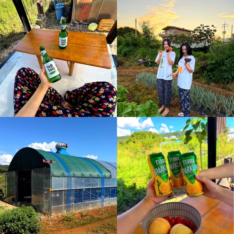 [Daebudo Pension] Gyeonggi-do Rural Stay 'Eourung': Affordable Group Pension with Greenhouse BBQ Area