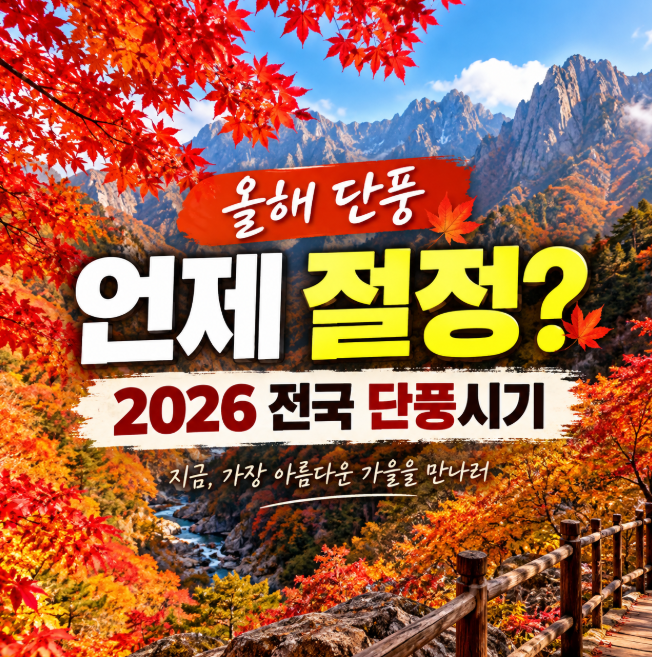 2026 단풍 언제 절정일까? 설악산부터 내장산까지 전국 단풍시기