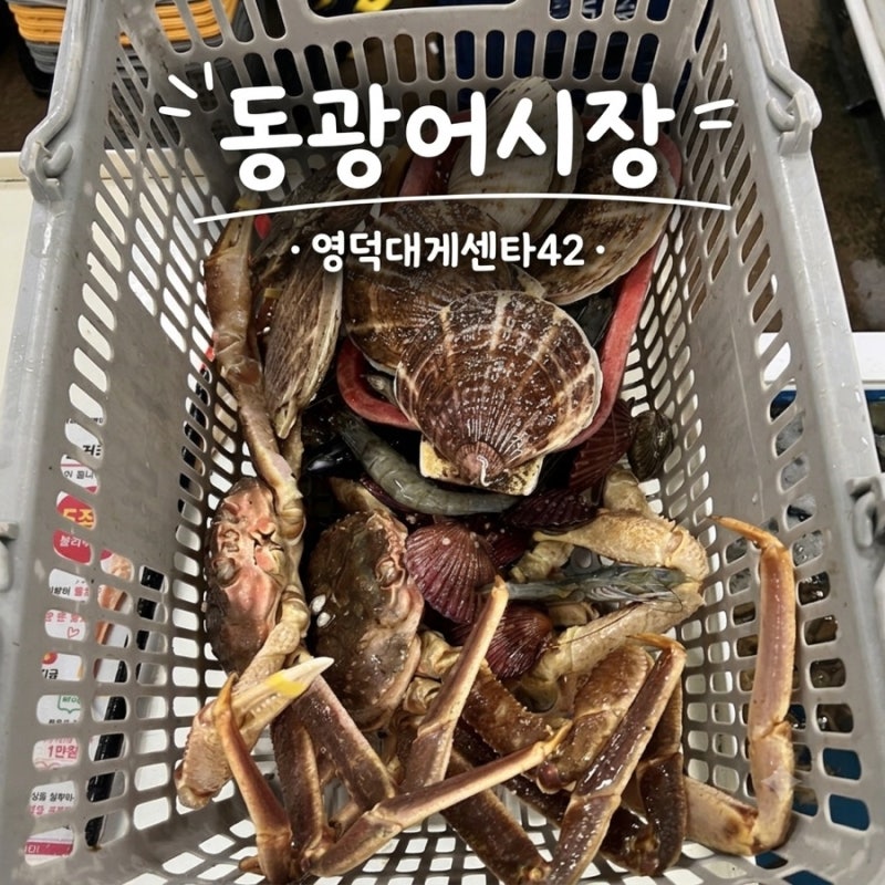 영덕에서 대게를 어디서 먹을지 고민된다면 | 동광어시장 영덕대게센타 42호