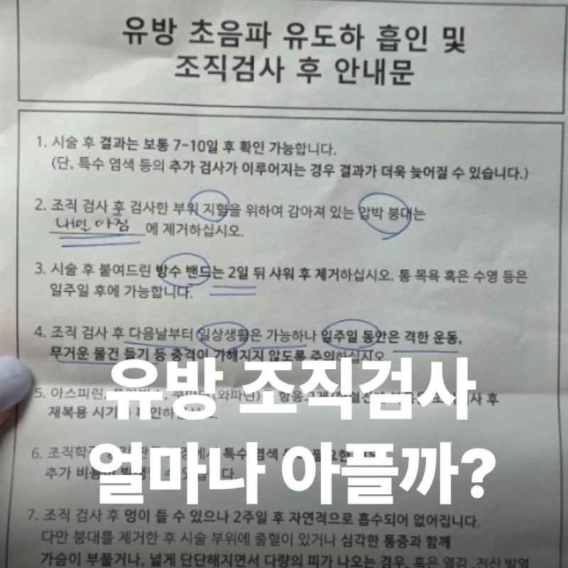 유방 조직검사 총생검 후기 (통증, 검사시간, 결과)