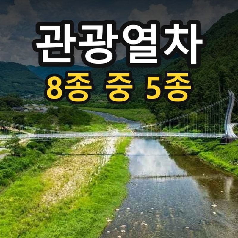 정선아리랑열차 청량리에서 못 탑니다 — 제천으로 내려간 출발역, 아침 여섯 시 삼십팔 분 ....