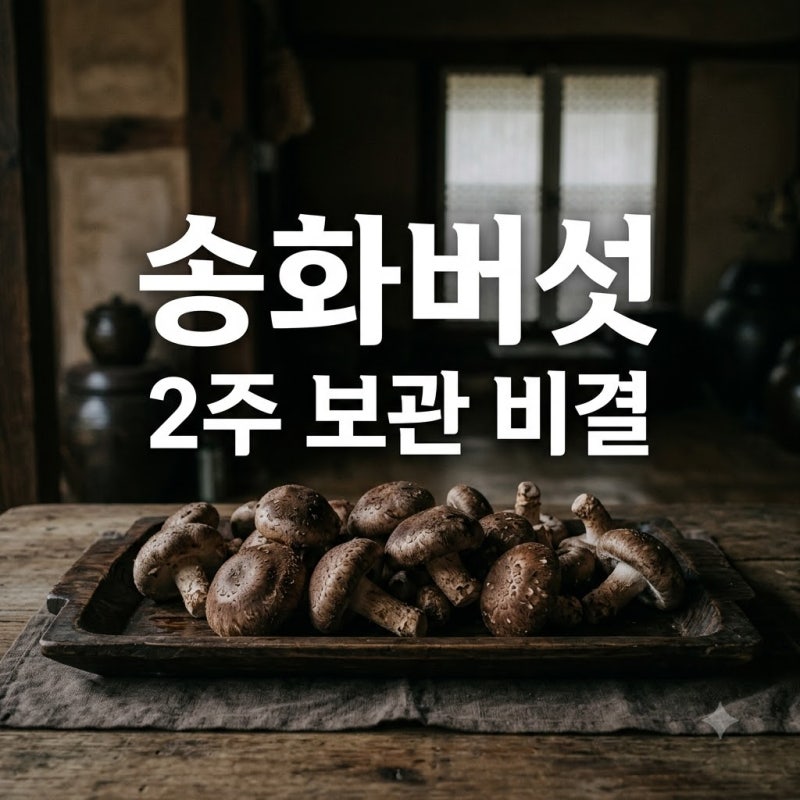 "비싼 버섯 다 버릴 뻔.." 송화버섯 보관법, 2주 지나도 갓 딴 느낌?