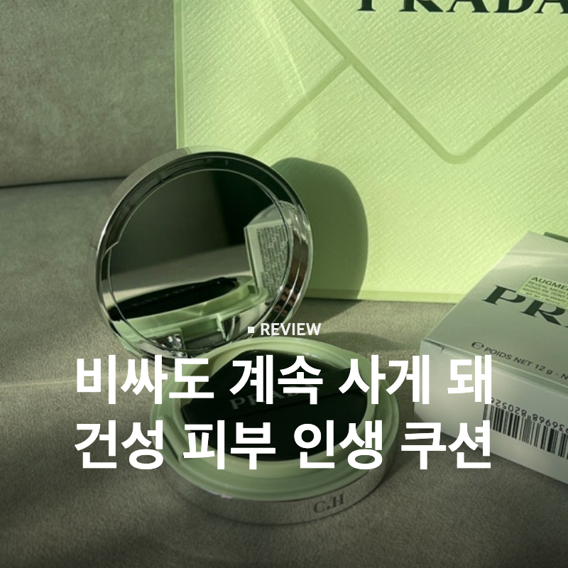 프라다 리빌 메쉬 쿠션 LN10 후기 - 건성 피부 인생쿠션, 비싸도 계속 사는 이유