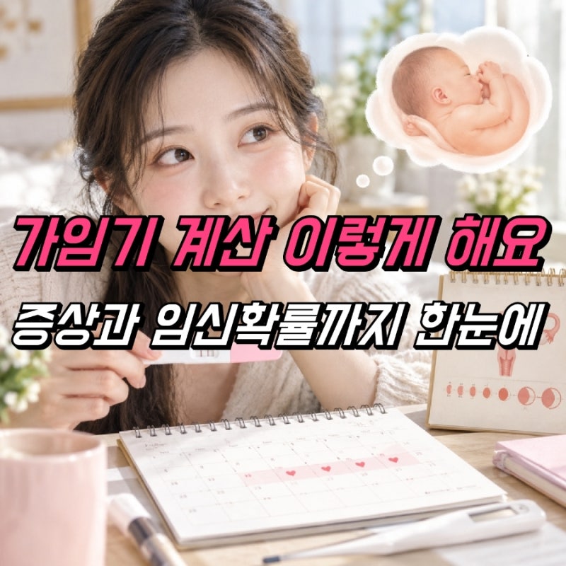 가임기 계산 방법, 가임기증상 임신확률