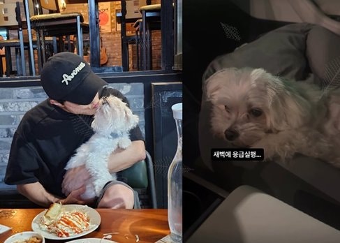 박성광네 반려견 광복이 응급실行, 이솔이 투병까지 겹친 이유