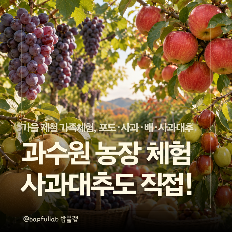 9월~10월 과수원체험 어디 갈까? 포도 사과 배 사과대추 농장체험 4곳｜예약 체험비