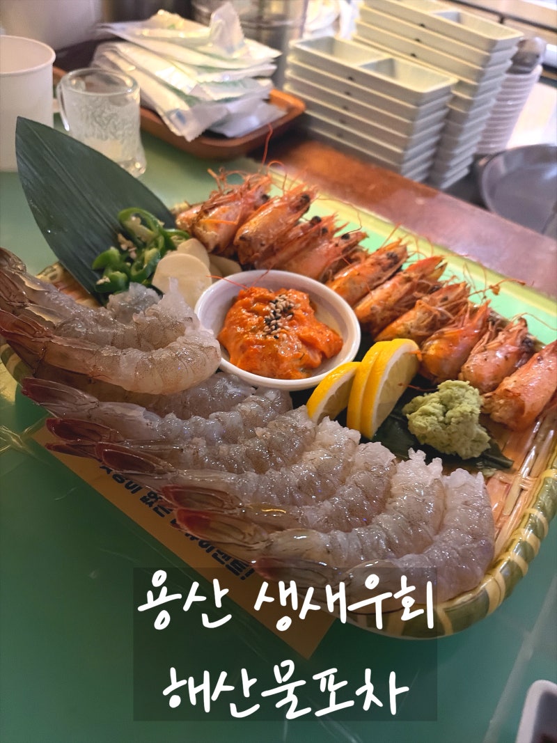 용산 생새우회 까주는 해물점 술집 분위기랑 술맛 최고