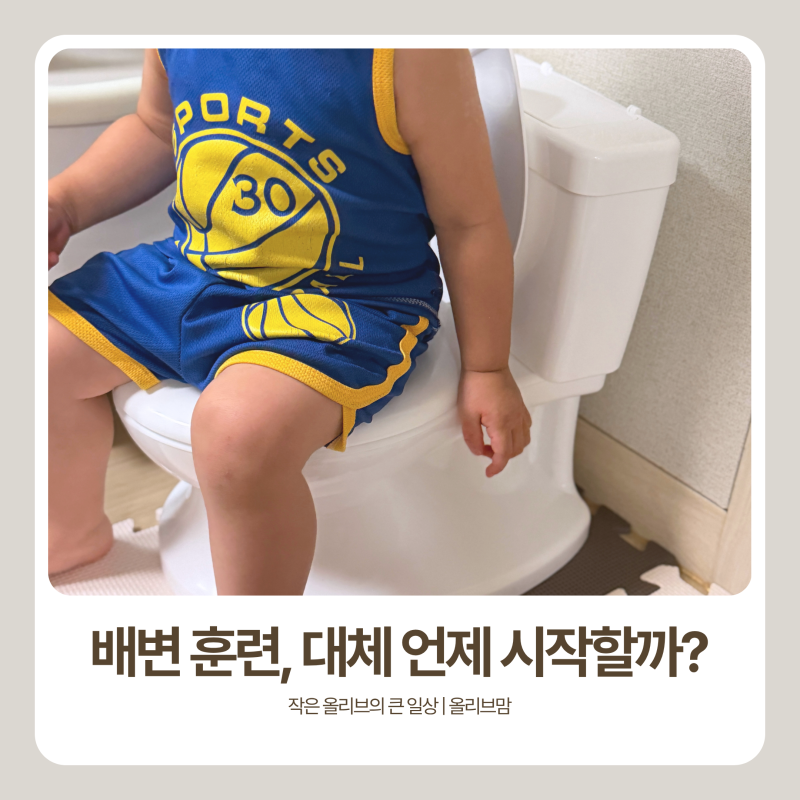 아기 변기 연습 배변 훈련 시기 방법
