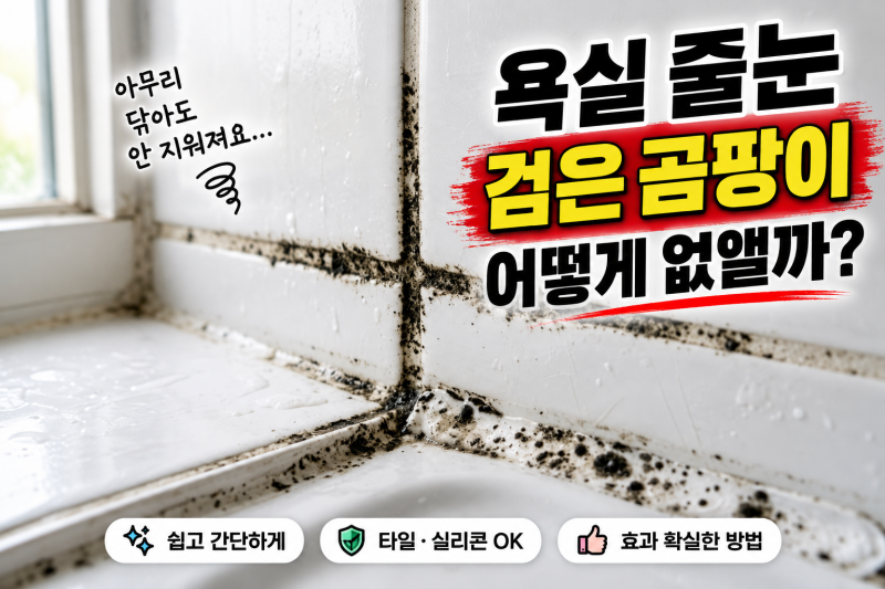 욕실 줄눈 곰팡이 제거, 화장실 실리콘 검은 곰팡이 없애는 법