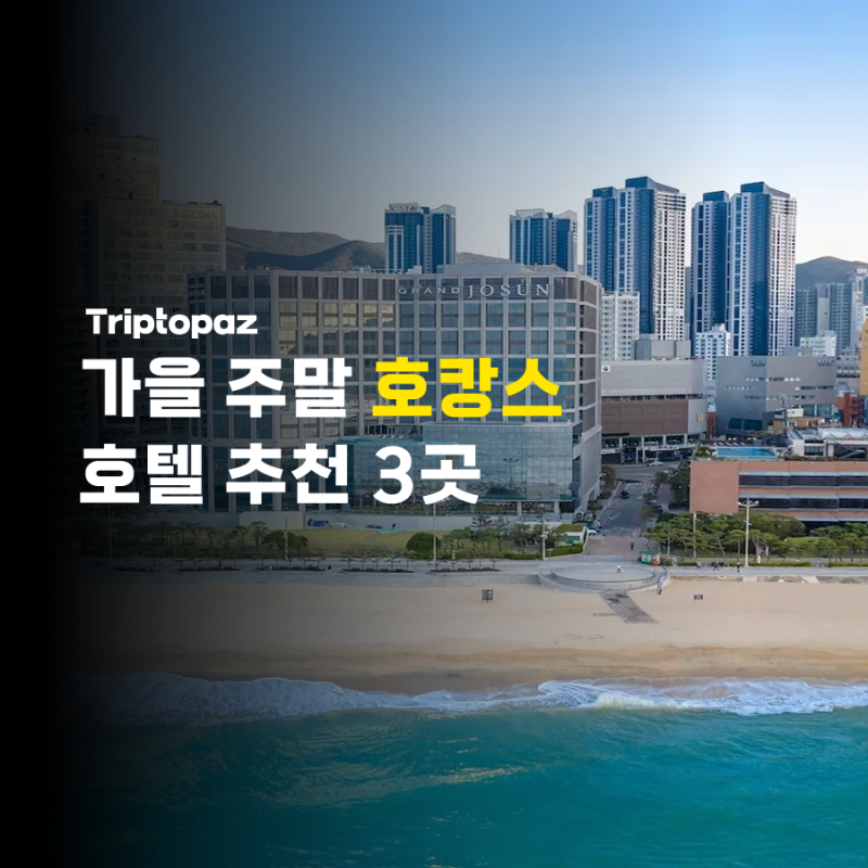 가을주말에 가기 좋은 수영장 있는 호텔 추천ㅣ그랜드조선부산 카시아속초 마리나베이서울