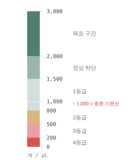 항암 후 면역력, 검사지로 확인하는 법 — 림프구 회복 지도