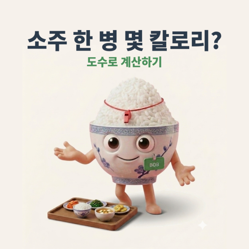 소주 한 병은 몇 칼로리일까요, 도수로 계산하는 법