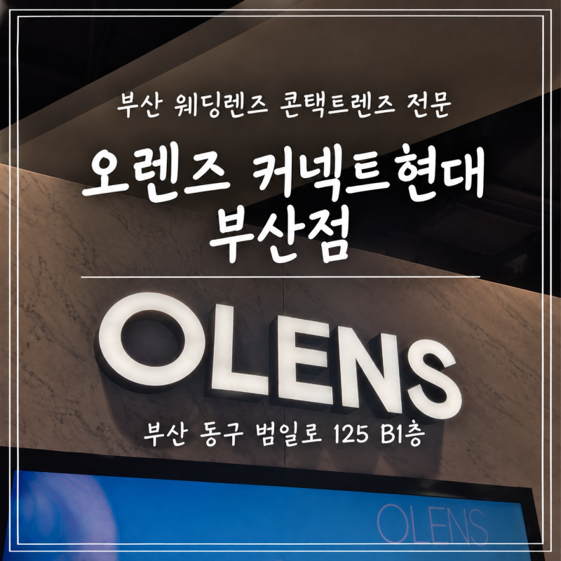 웨딩촬영 본식용 렌즈 추천｜오렌즈 비비링 브라운 내돈내산 후기