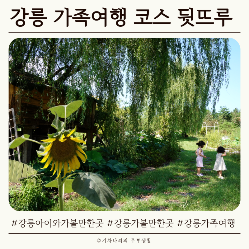 강릉 아이와 가볼만한곳, 가족여행 코스로 좋았던 뒷뜨루 관광농원