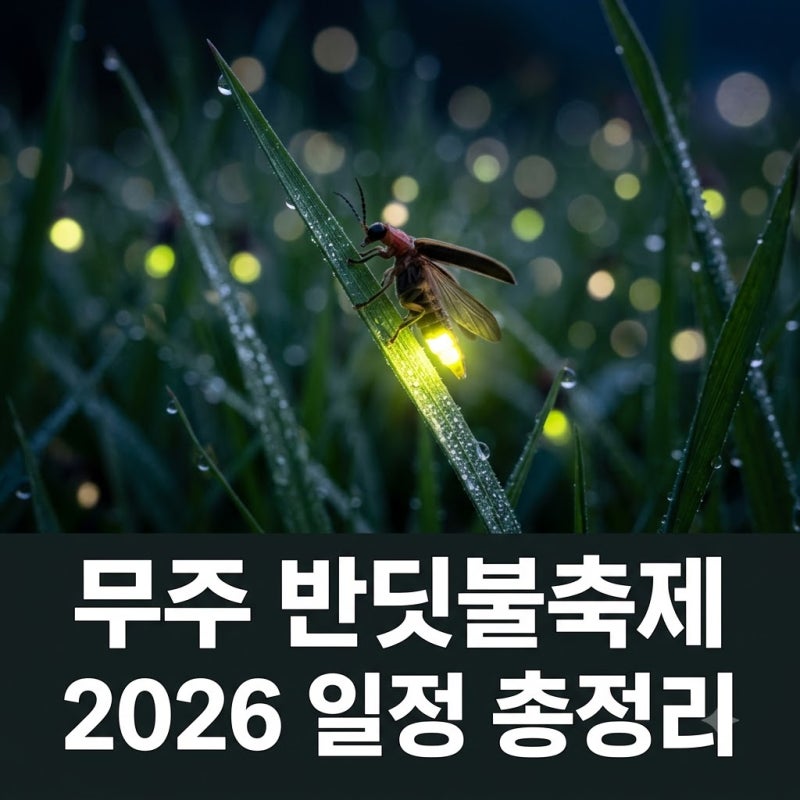 무주 반딧불축제 일정 총정리 2026 프로그램 예약 및 혜택 꿀팁