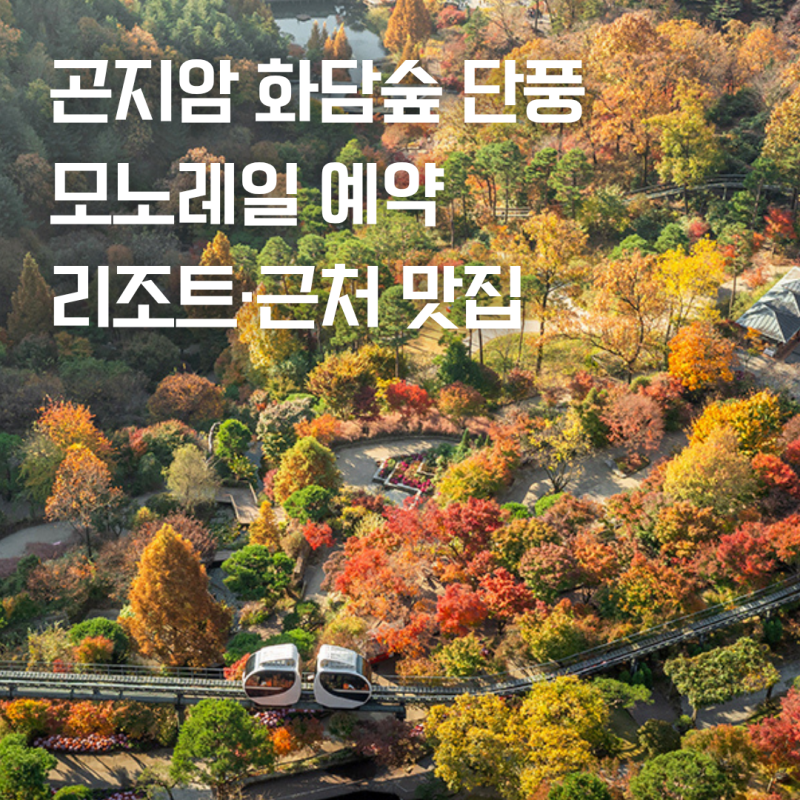 곤지암 화담숲 가을 단풍 예약 성공 팁부터 모노레일 및 리조트 맛집 정리
