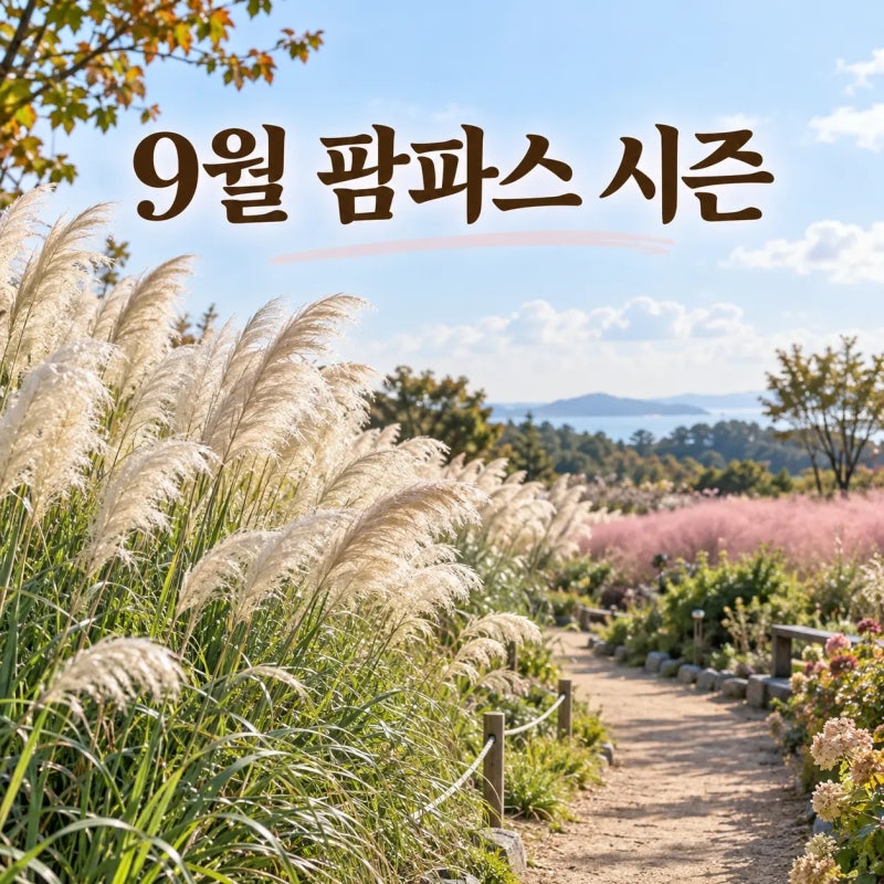 태안 청산수목원 9월, 팜파스·핑크뮬리 시즌 입장료부터 확인하세요