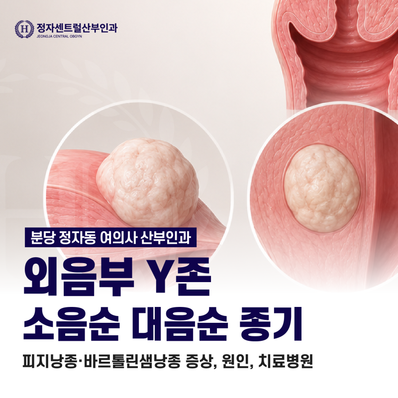 분당 정자동 여의사 산부인과｜외음부 Y존 소음순 대음순 종기·피지낭종·바르톨린샘낭종 ....