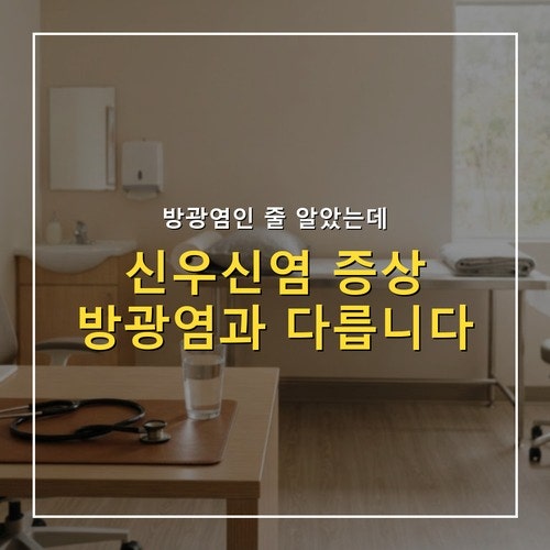 신우신염 증상, 방광염과 다른 점 3가지와 병원 기준