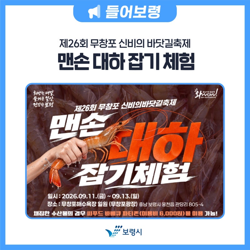 제26회 무창포 신비의 바닷길축제 맨손 대하 잡기 체험
