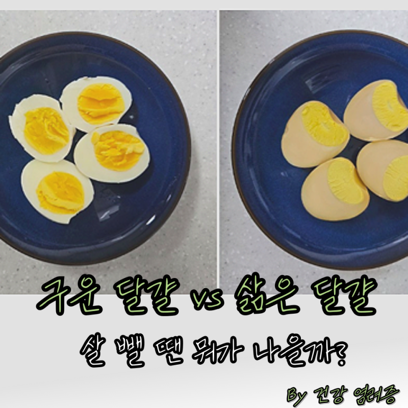 구운 달걀 삶은 달걀, 똑같은 계란인데 설마 “다이어트 효과”도 다를까?