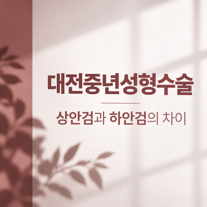대전중년눈성형 상안검과 하안검 수술의 차이