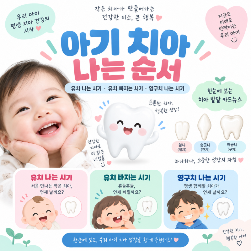 아기 치아 나는 순서 (유치 나는 시기, 유치 빠지는 시기, 영구치 나는 시기)
