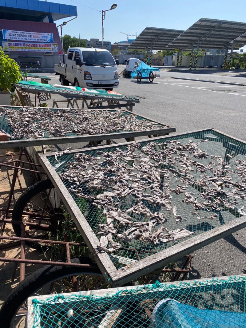 [ 서천 ] 장항 전통 시장 수산물동 / 한산소곡주 현지 가격