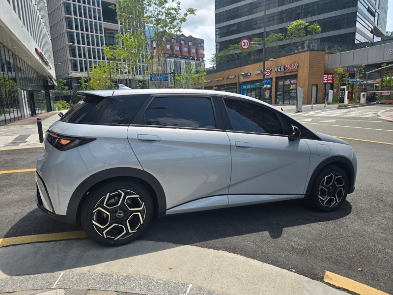 BYD 돌핀 실제로 타보면 어떤가요? 제가 차주로서 말씀드립니다.