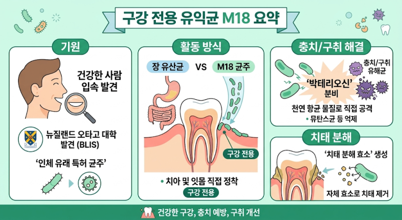 구강유산균 M18 효능, 입냄새 효과 부작용 올바른 섭취방법