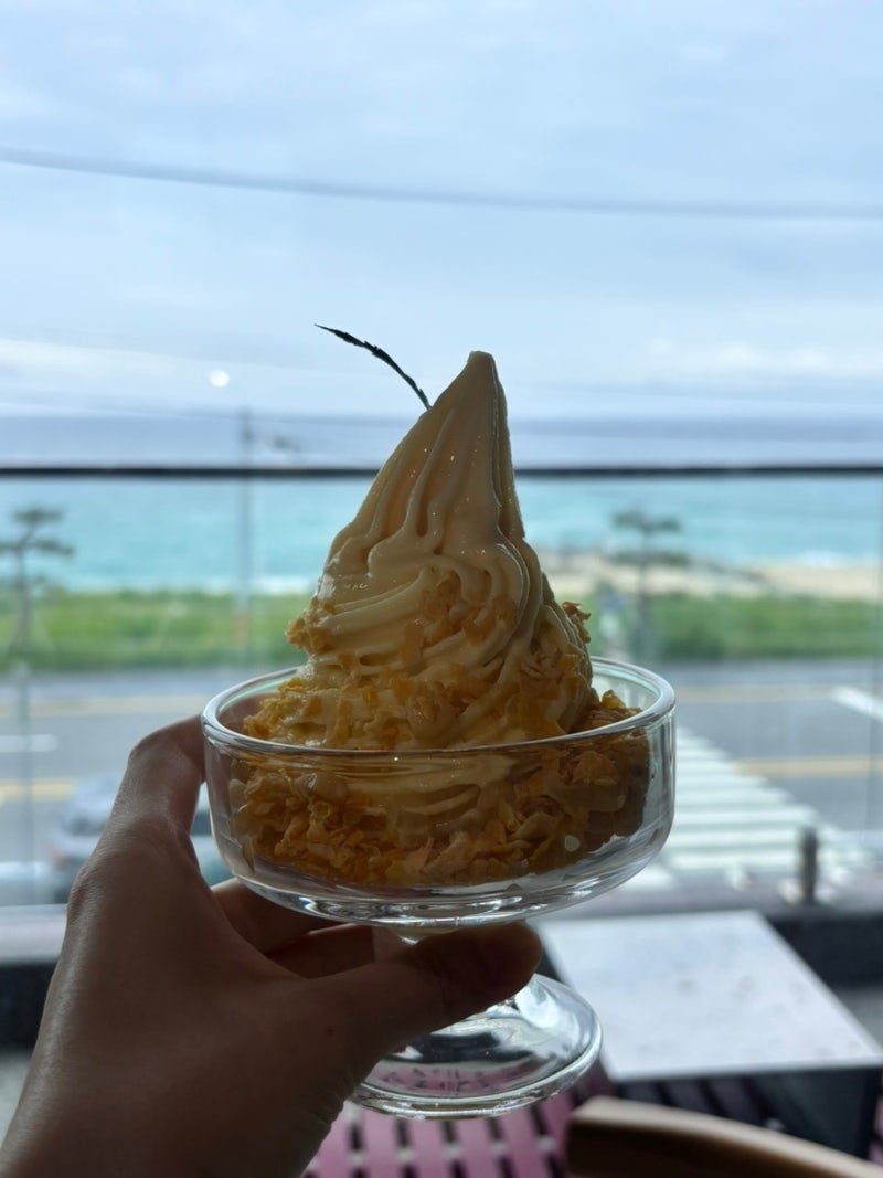 강원도 강릉 대형 베이커리 카페 백야커피 오션뷰