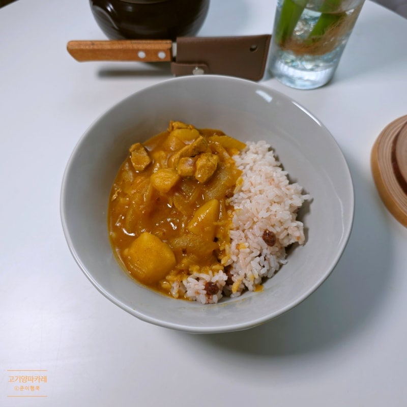 집에서 간단 맛있는 돼지고기 카레 만드는법 레시피