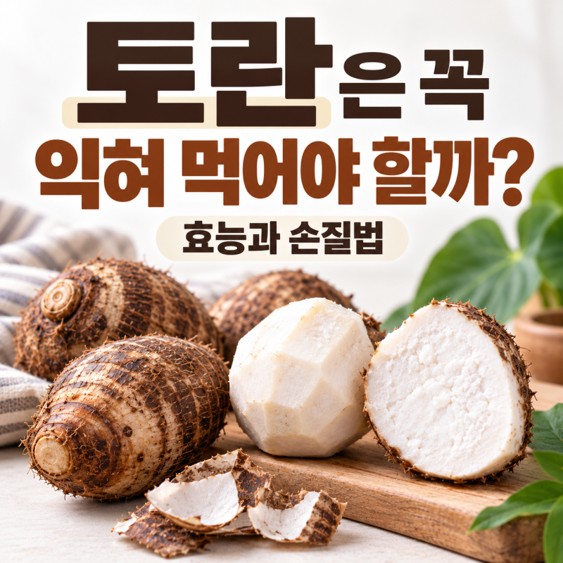 [토란은 꼭 익혀]먹어야 할까? 효능과 손질법