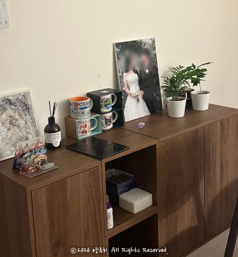 신혼부부 가구 이케아 에케트 수납장 거실장 여자혼자 셀프조립 후기
