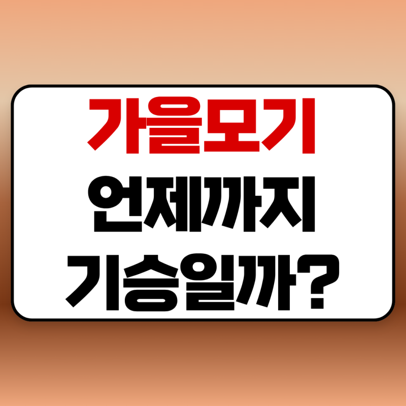 가을모기 언제까지 기승일까? 물림·가려움·퇴치 방법 총정리